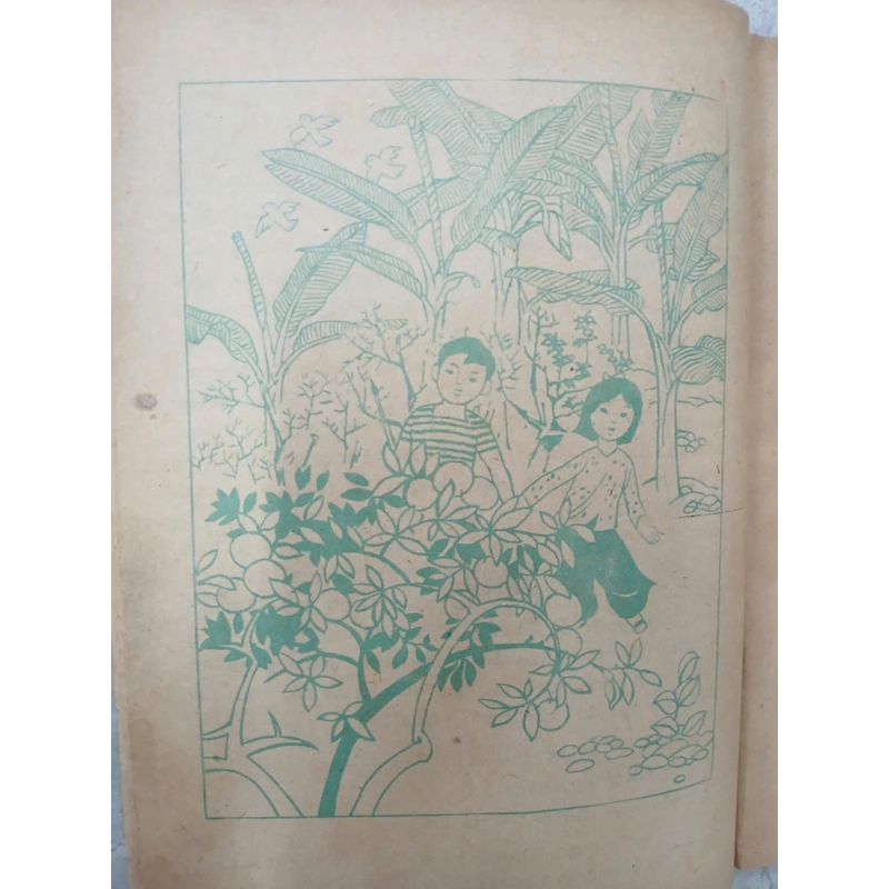QUẦNG TRĂNG LƠ 548522