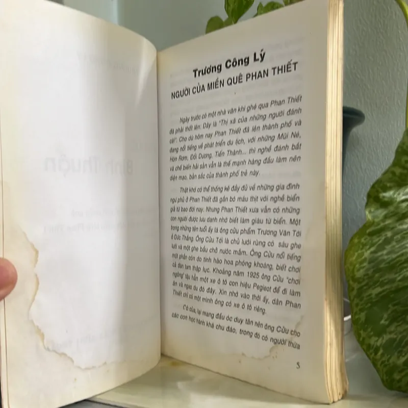 Miền quê bình thuận 746045