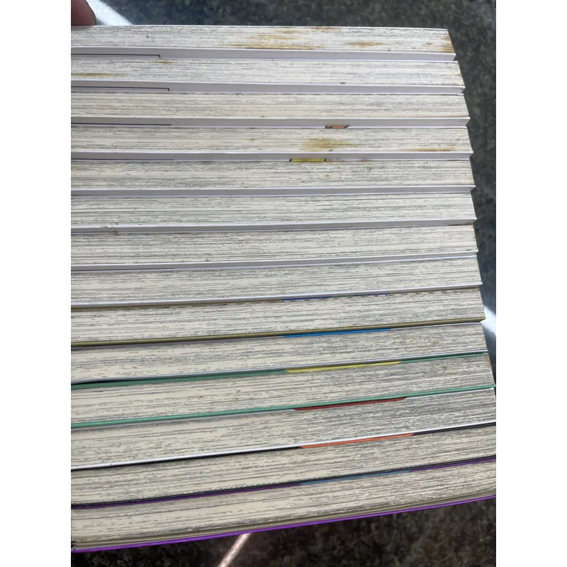 Truyện bộ 14 tập Pikemon Cuộc phiêu lưu của pippi 689324