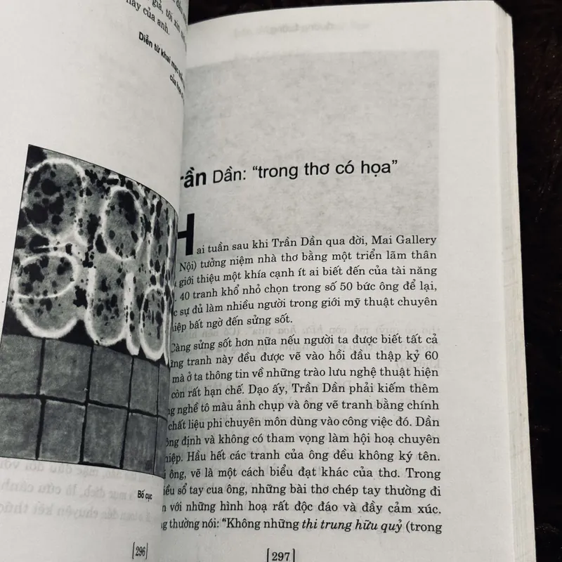 Chỉ tại con chim chích choè 719073