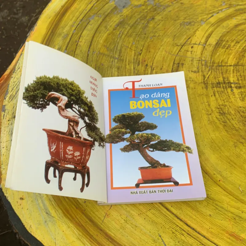 TẠO DÁNG BONSAI ĐẸP - THANH LOAN 759669