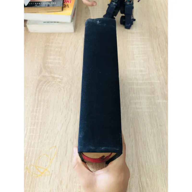 GIAI THOẠI NHÀ VĂN VIỆT NAM 929326