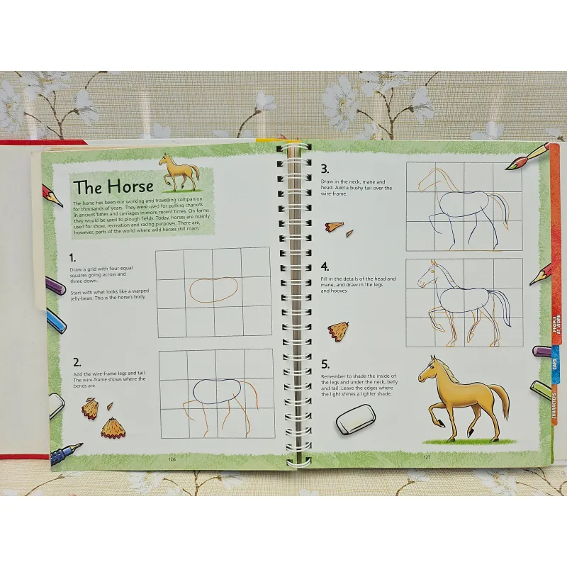 You Can Draw (Over 100 drawings to master!) 993534