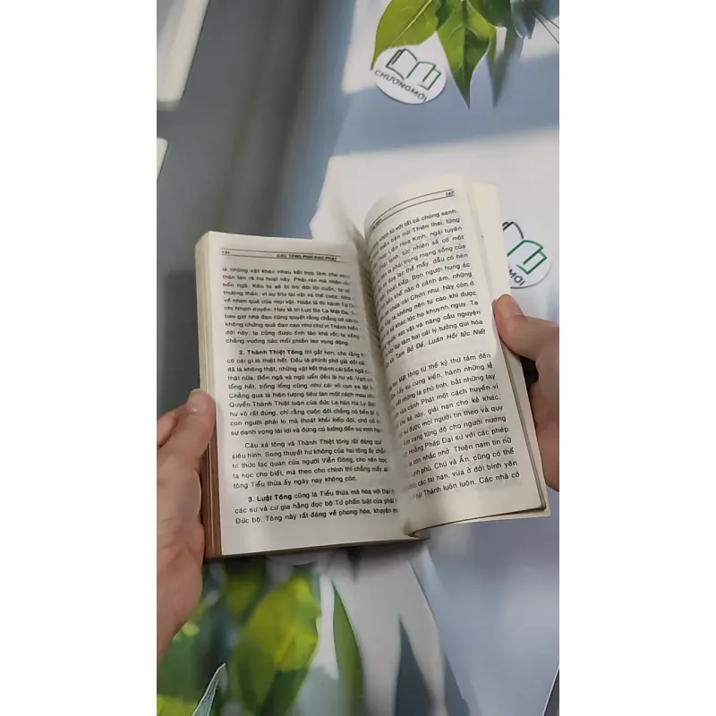 [XƯA] Các Tông Phái Đạo Phật (1995) - Đoàn Trung Còn 776150