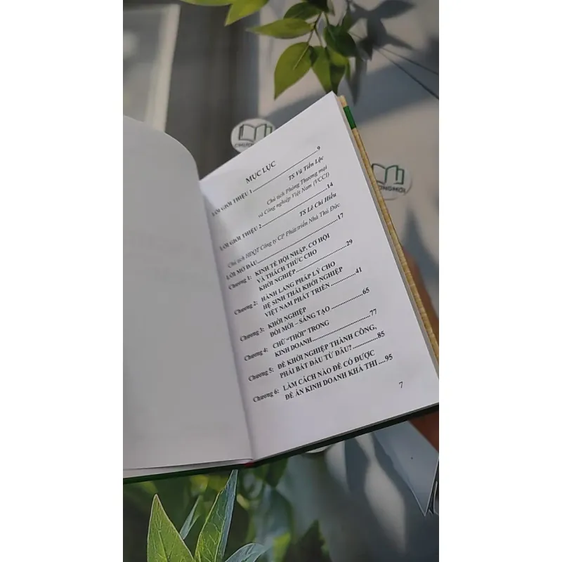 Để Khởi Nghiệp Thành Công Phải Bắt Đầu Từ Đâu? - CEO Đặng Đức Thành 990066