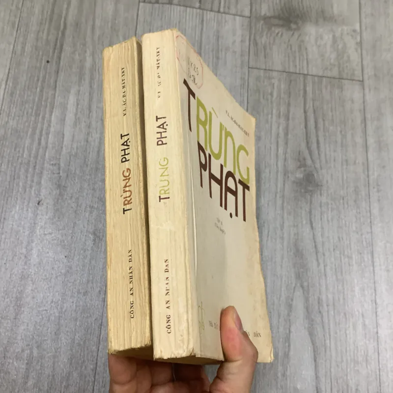 Trừng phạt - v i ác đa mát xky. Bộ 2 cuốn. 10a2 1025749