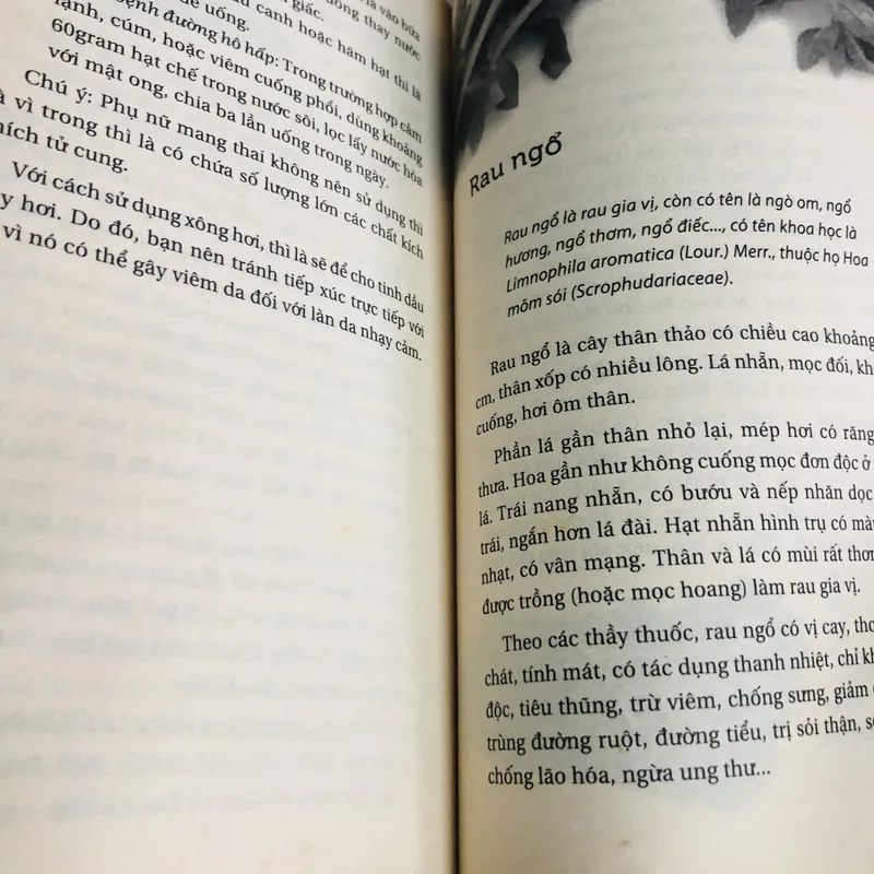 NGON NGỌT VỊ RAU ( Lương y Đinh Công Bảy) 693749