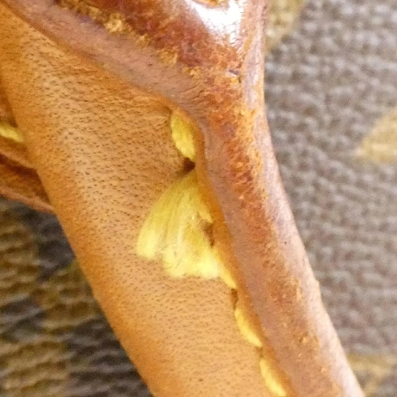 Túi Louis Vuitton Monogram Alma PM M51130+J00142 616157