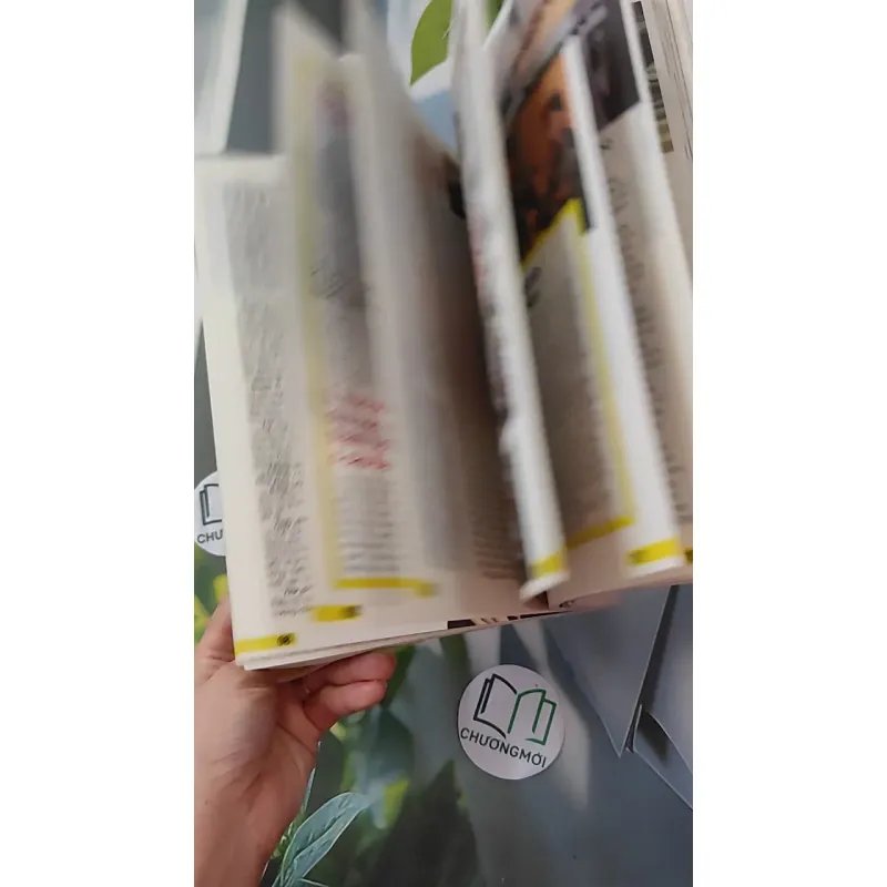 Hàn Quốc - Đi về phía bình minh - Hoa Học Trò 1018813