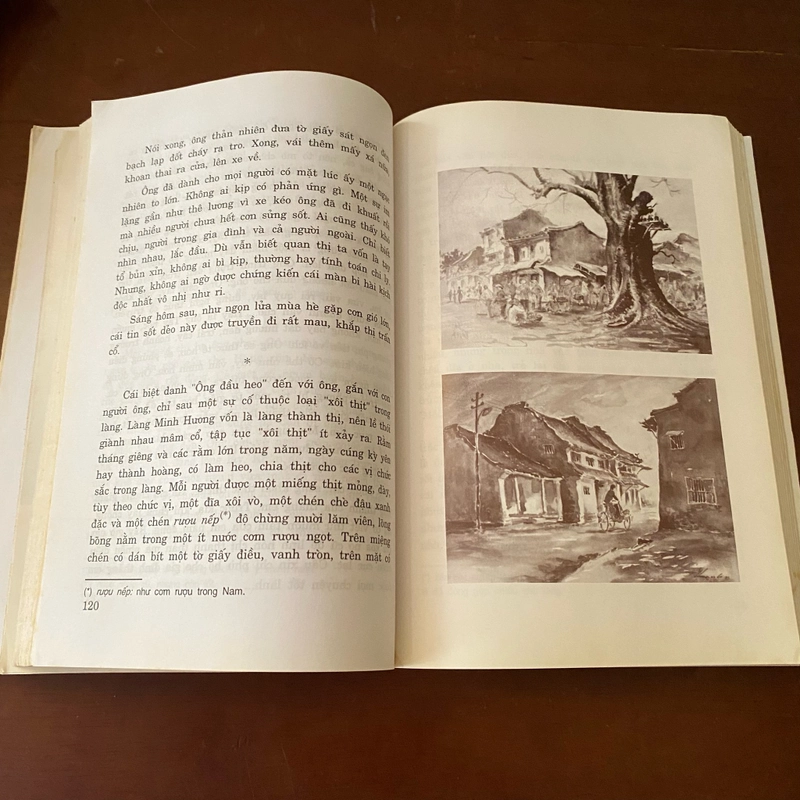 Hội an quê tôi  464103