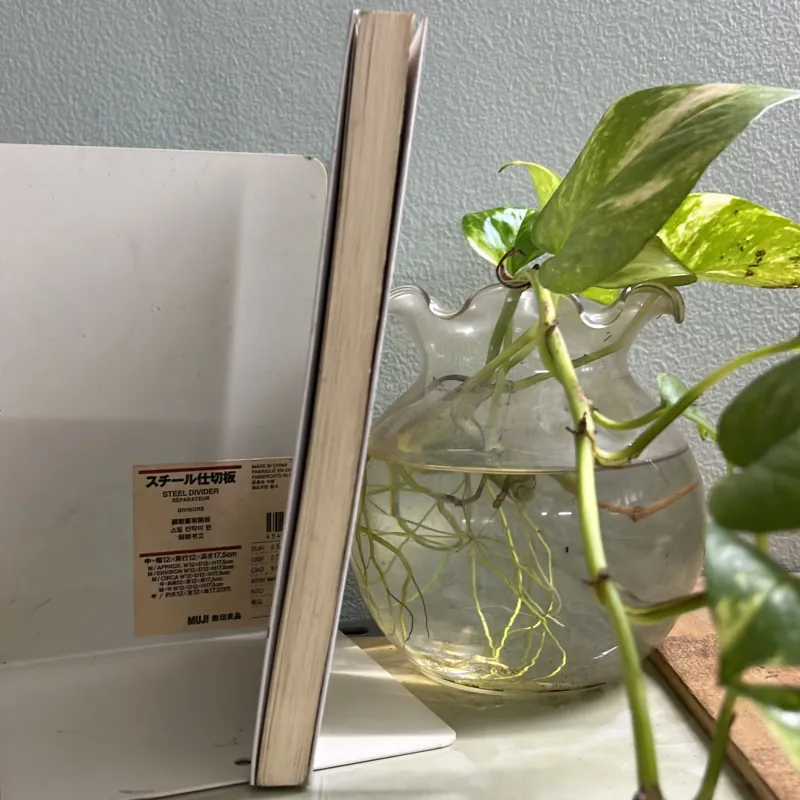 Cốt cách phụ nữ 752132