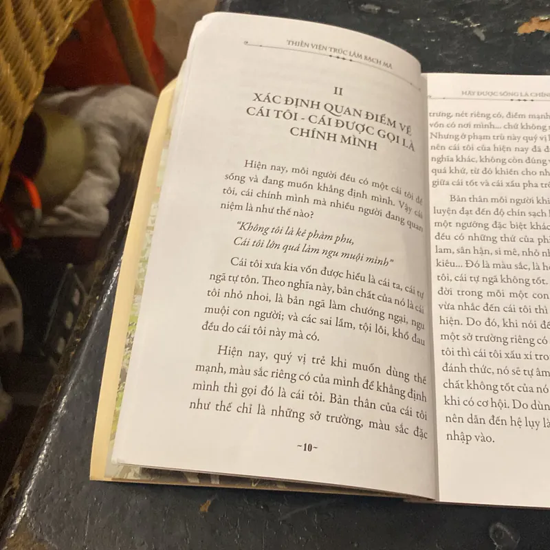 Hãy Được Sống Là Chính Mình- Thích tâm Hạnh 689656