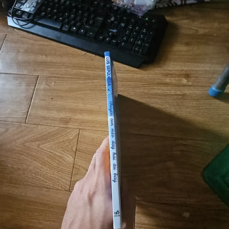 Chuyện con mèo dạy hải âu bay 20k 674517