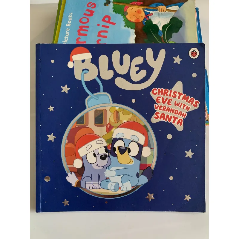 Bluey: Christmas Eve with Verandah Santa – Bluey 561105