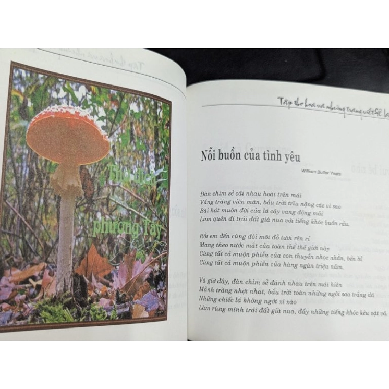 Tập thơ hoa & những trang viết để lại - Lãng Thanh 450208