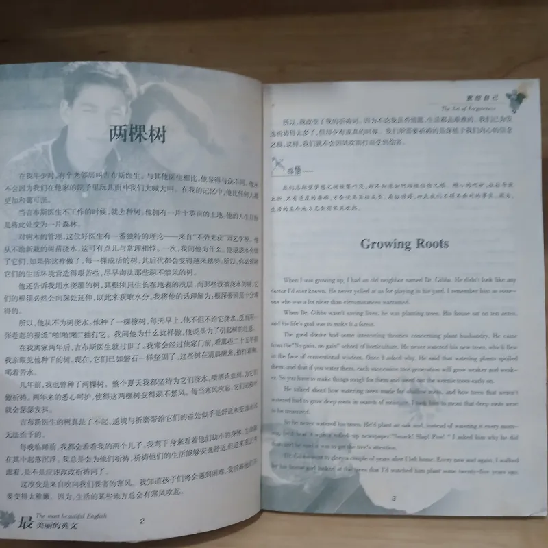 The Most Beautiful English 928323