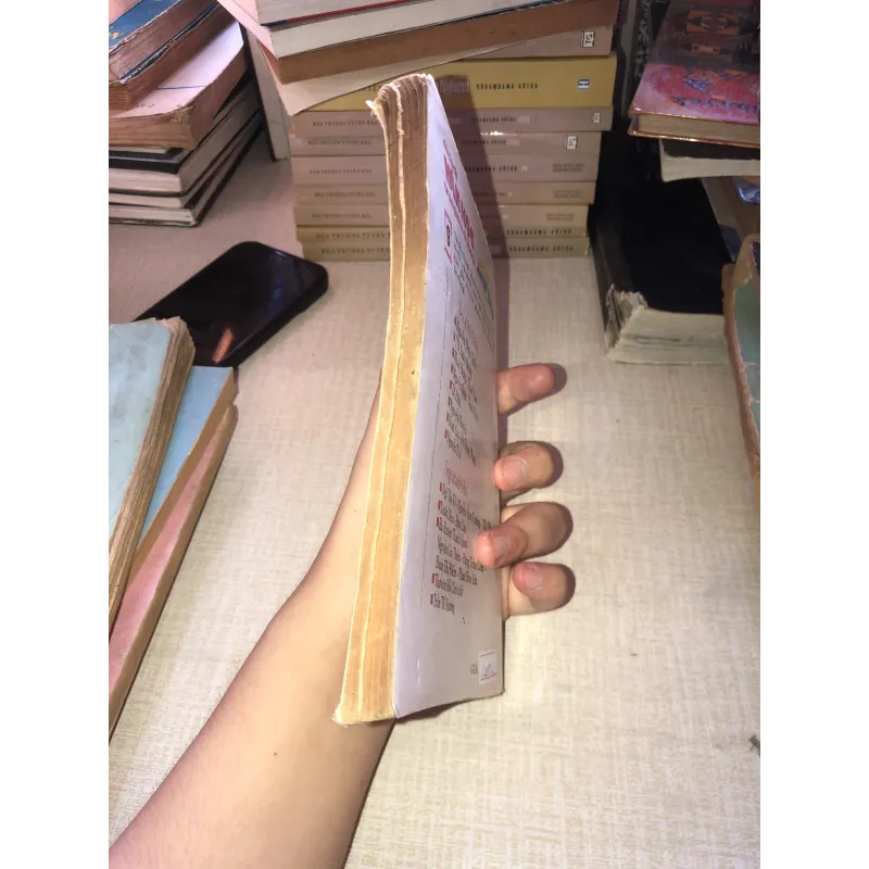 Tủ sách văn học trong nhà trường- Xuân Diêu Huy Cận 937137
