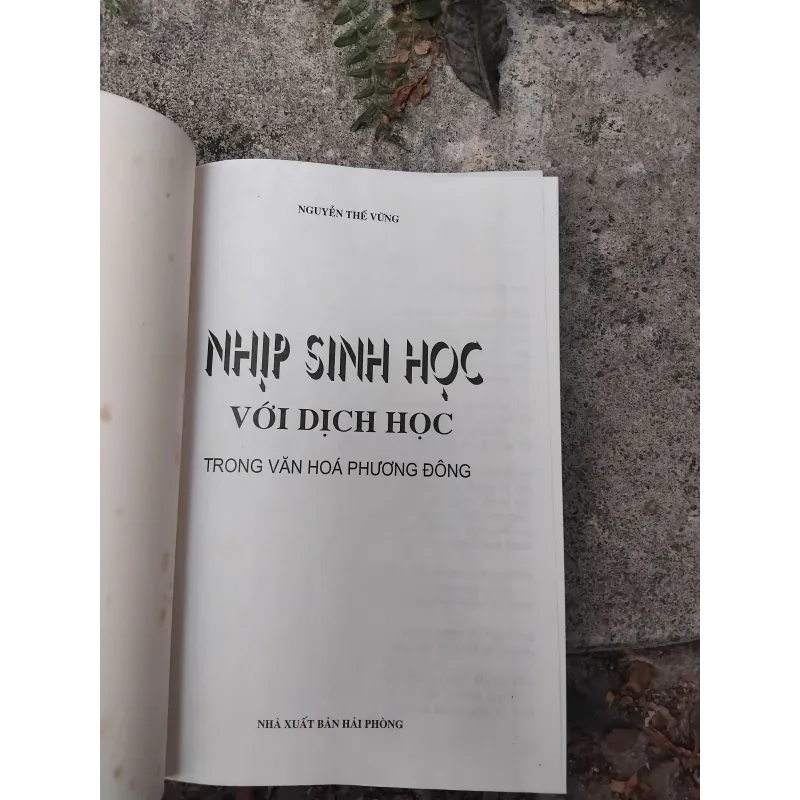 Nhịp sinh học với Dịch học trong văn hóa phương Đông  1022856