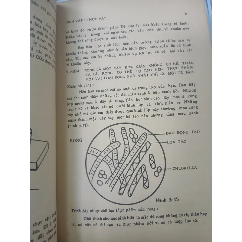 DẠY KHOA HỌC CĂN BẢN - RITA LANGLEY 735328