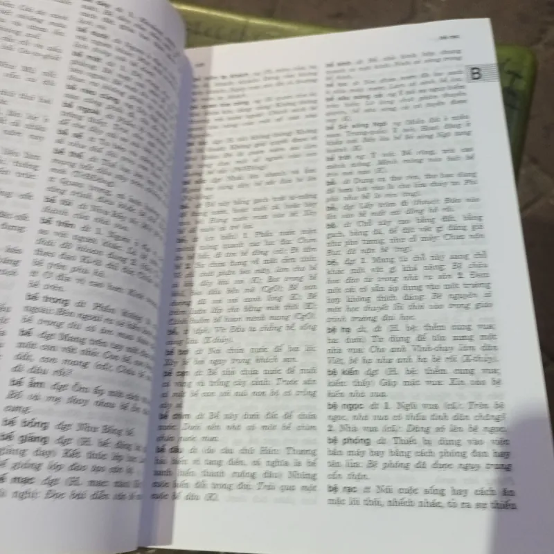 Từ Điển Từ Và Ngữ Việt - Nam - Nguyễn Lân 1011377