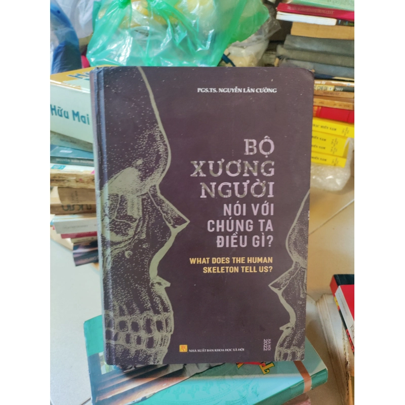 Bộ xương người nói với chúng ta điều gì 526451