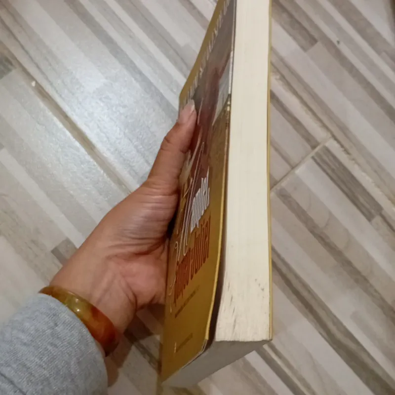 Hamlet & Romeo và Juliet  971256