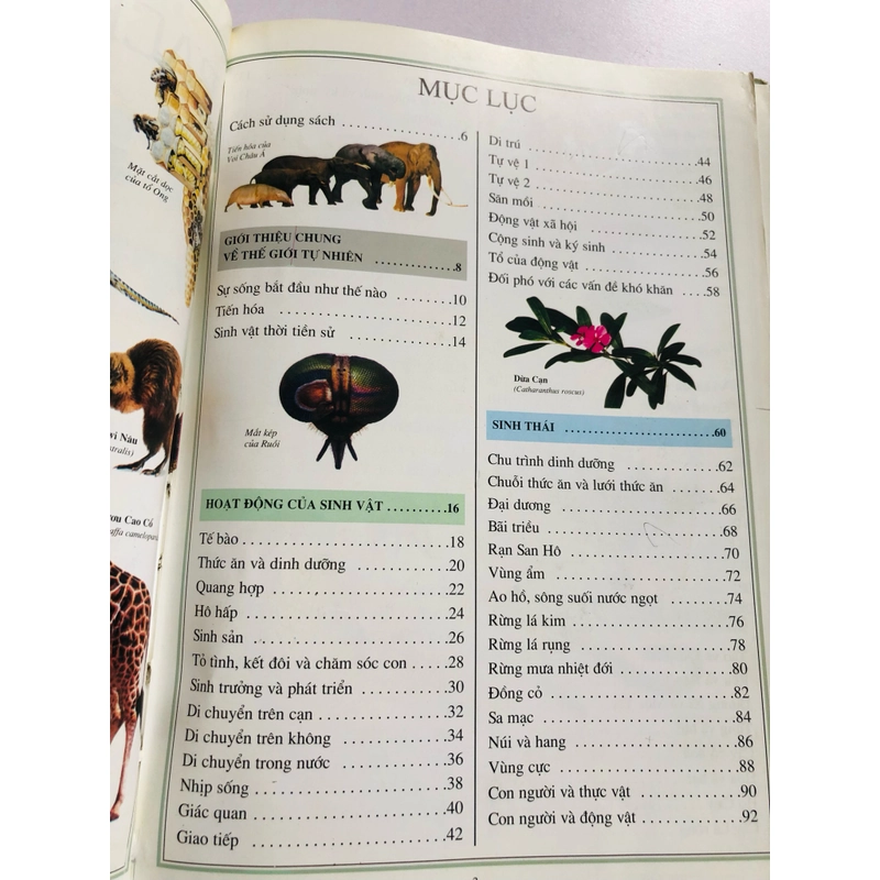 📚 BÁCH KHOA THƯ THẾ GIỚI TỰ NHIÊN 479463