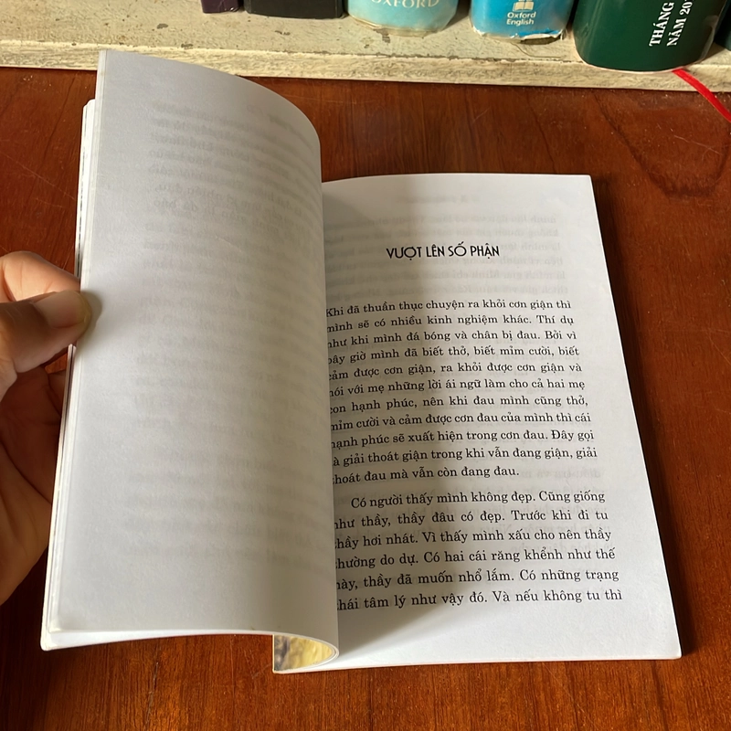 II Sách Chữa Lành: Chữa Lành Tâm Hồn - Thầy Giác Viên - 2013 543850
