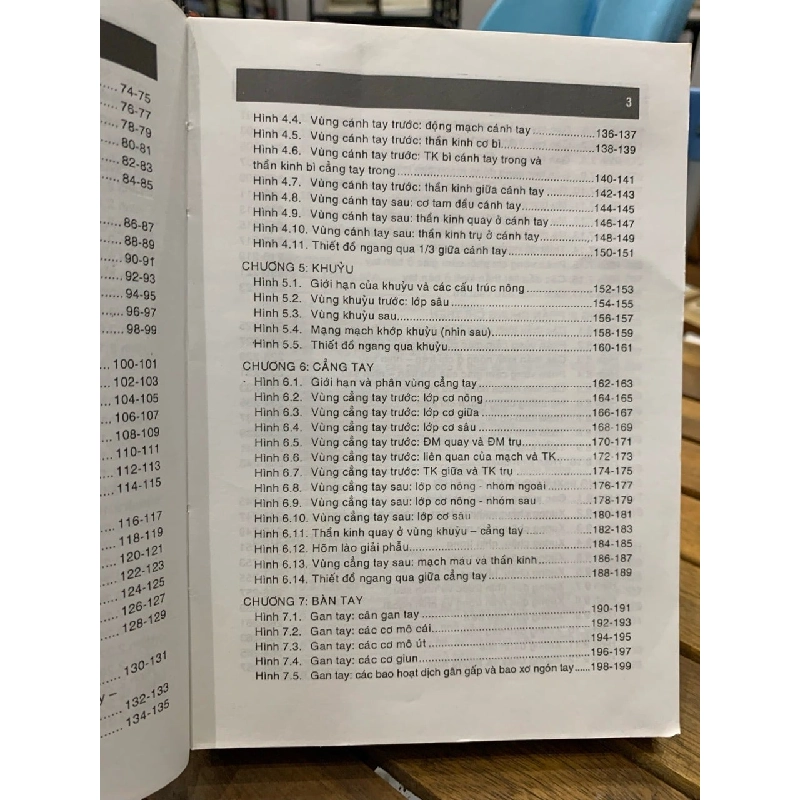 Giải phẫu chi trên- chi dưới -TS. Phạm Đăng Diệu 746254