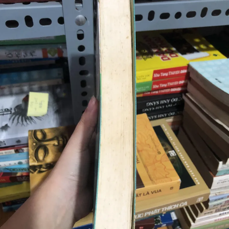 Tử tước và em 990587