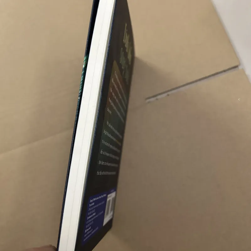 Linh hồn song sinh 569328