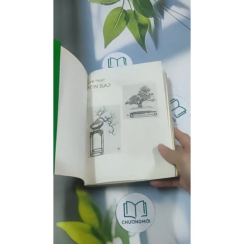 Bonsai: Cây dáng, thế và non bộ - Đỗ Hiệp 694948