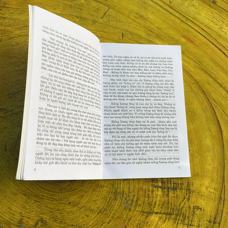 KỸ THUẬT TRỒNG &KINH DOANH KIỂNG- XƯƠNG RỒNG, , SỨ THÁI LAN- VIẾT CHƯƠNG- NGUYỄN VIỆT THI 686832