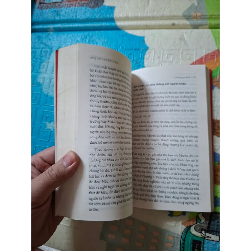 Trí Tuệ Xúc Cảm 936243