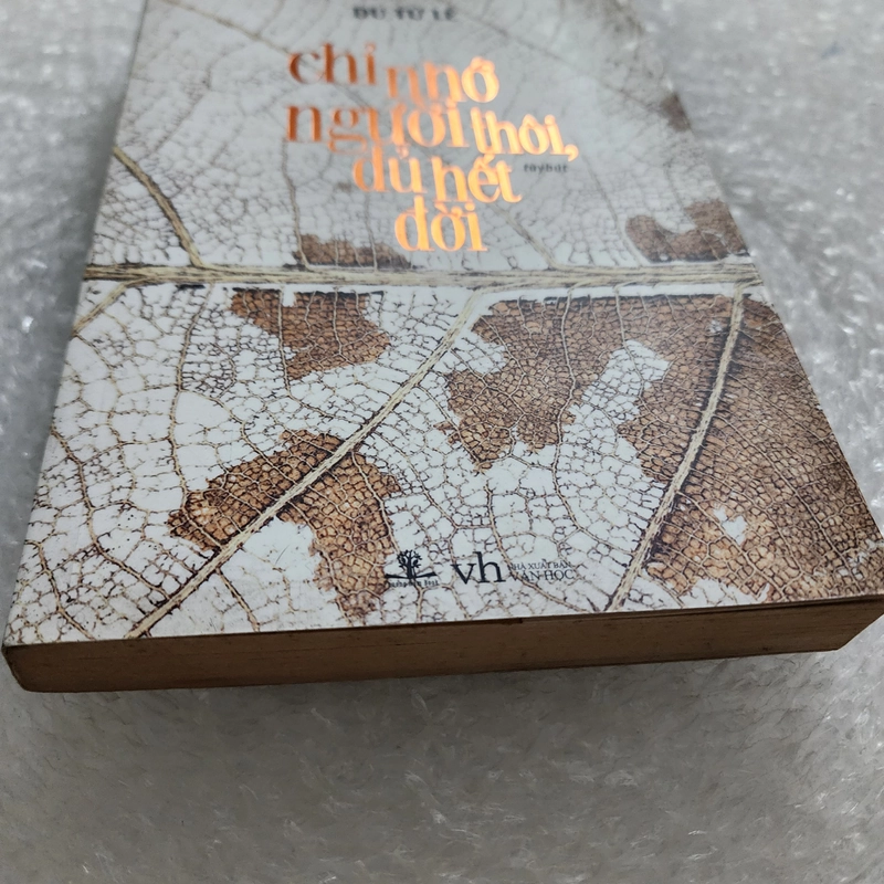 Chỉ nhớ người thôi, đủ hết đời | Du Tử Lê 460007