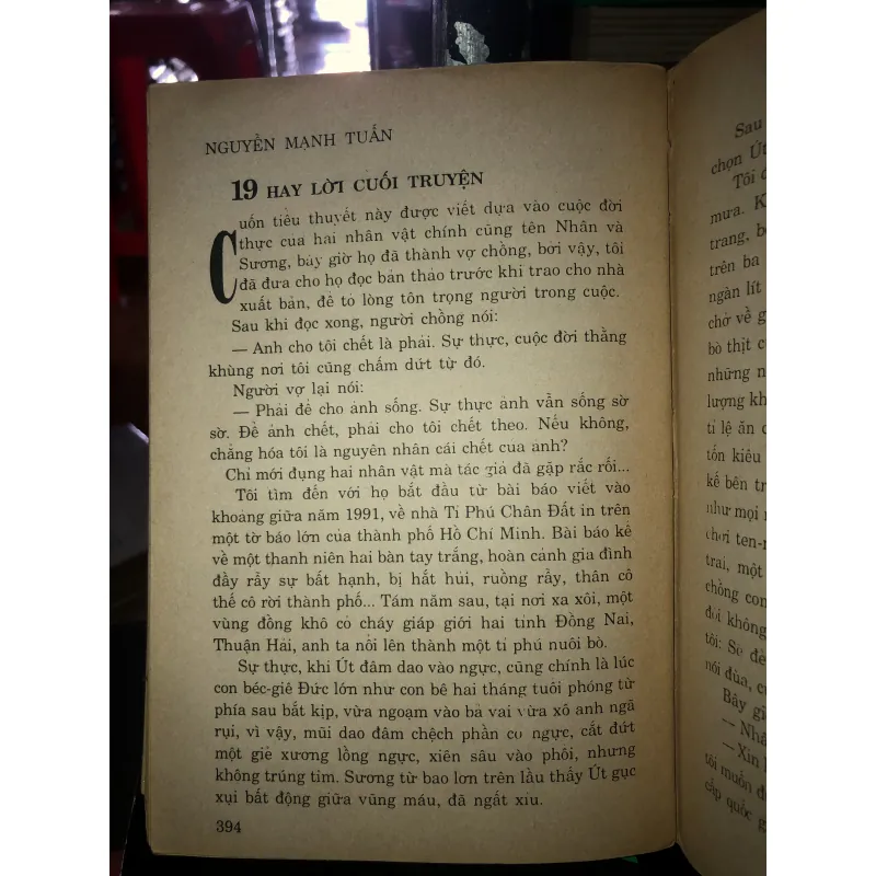 Phần hồn - Nguyễn Mạnh Tuấn 789202