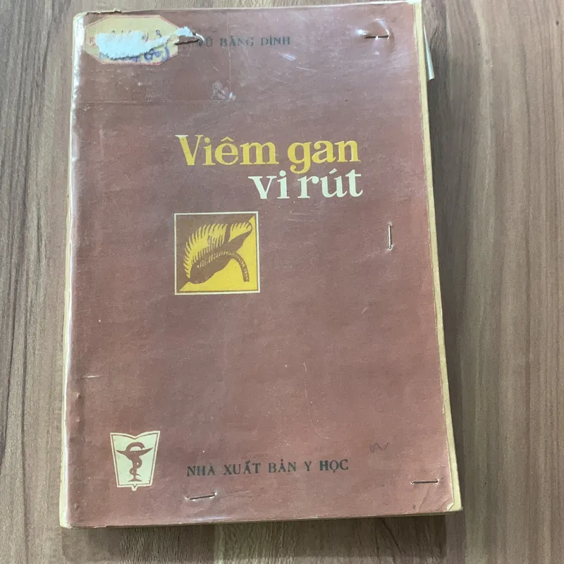 Viêm gan vi rút, Vũ Bằng Đình  622275