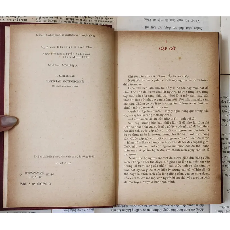 Sách viết về nhà văn Nikolai Alekseyevich Ostrovsky 703931