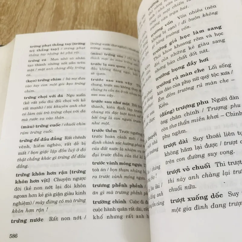 TÂN TỪ ĐIỂN THÀNH NGỮ TIẾNG VIỆT  968634