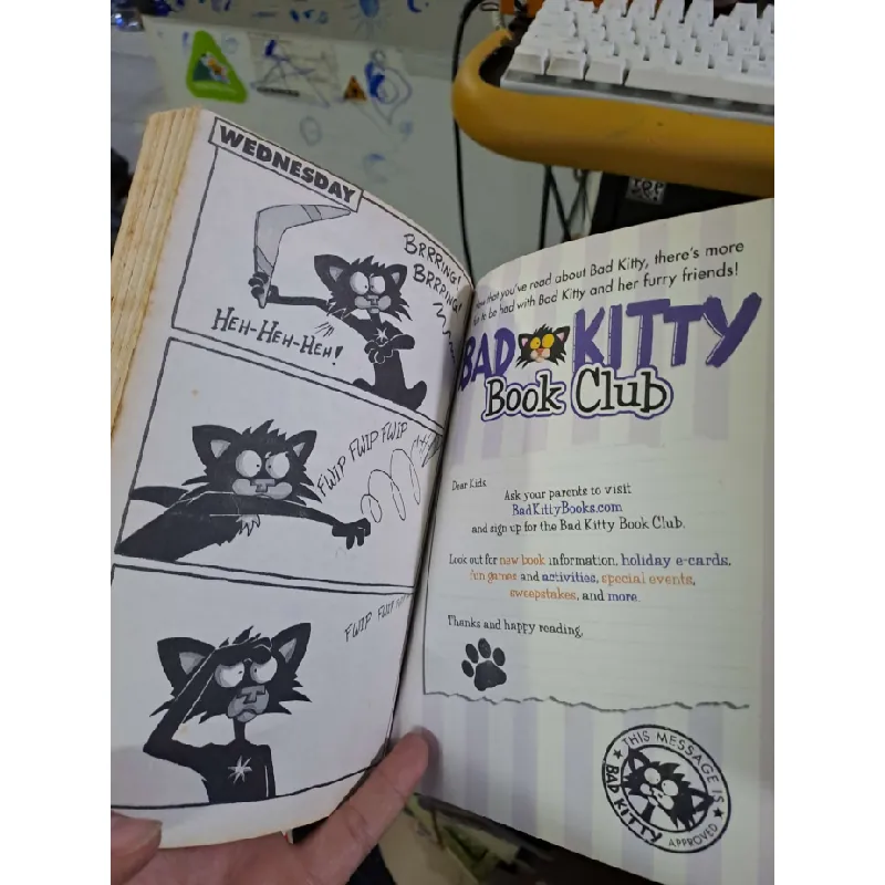 Bad kitty camp daze mới 80% ố ENGLISH BOOKS HCM1809 560886
