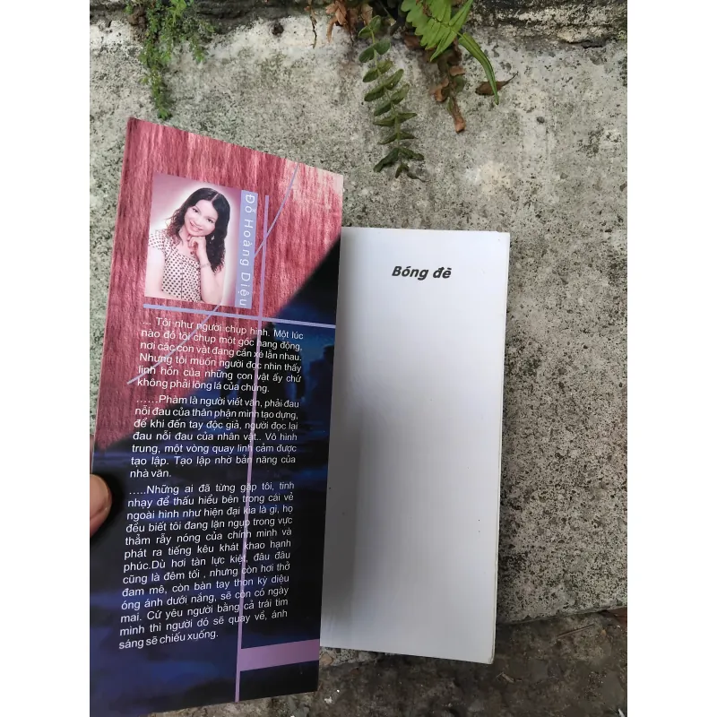 Bóng đè tập truyện của Đỗ Hoàng Diệu  1029199
