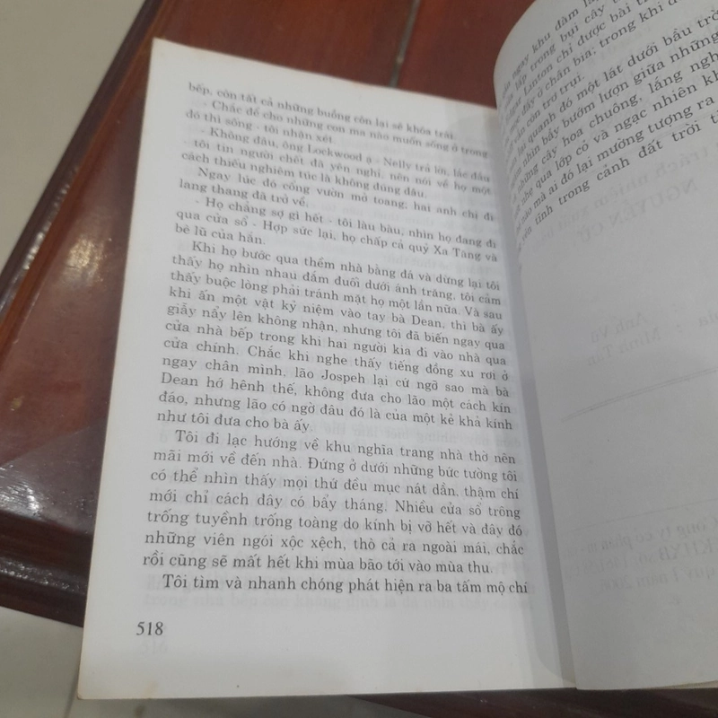Emily Bronti - ĐỈNH GIÓ HÚ 498061