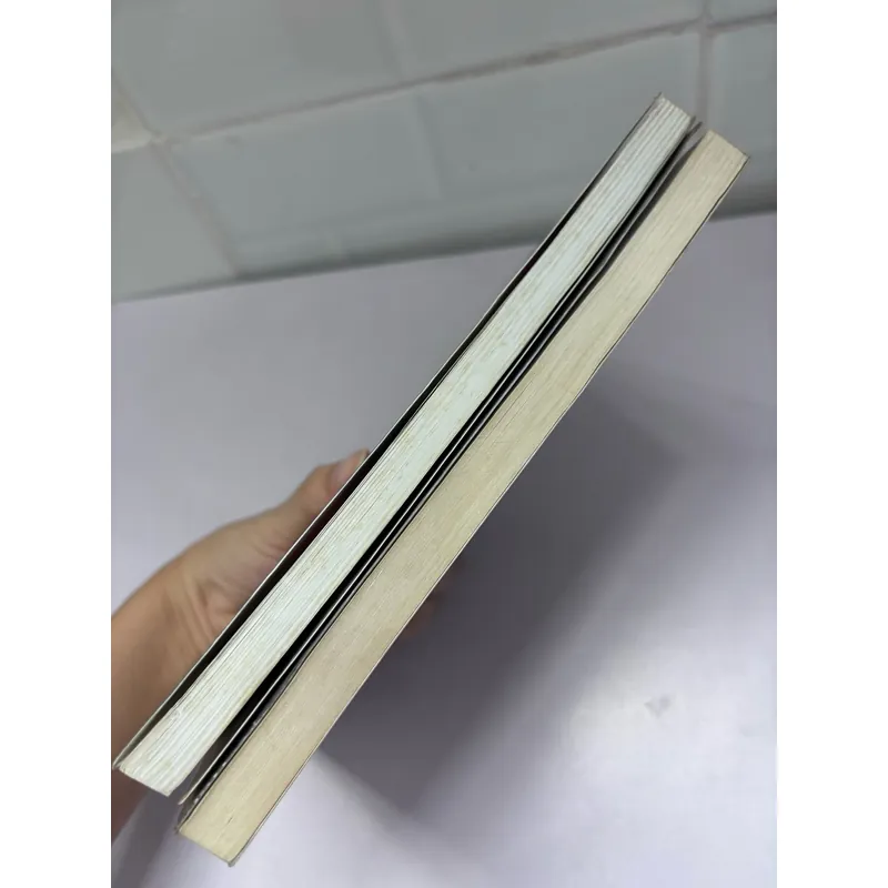 Combo 2c Bá tước Monte Cristo và Hai mươi năm sau 1057842