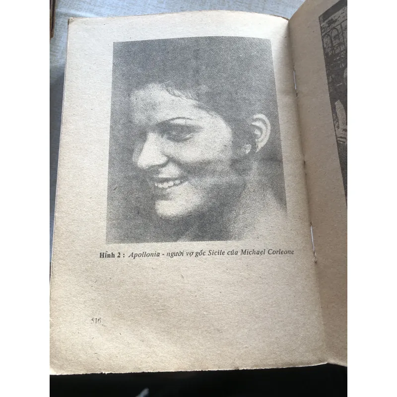 Bố Già-The Godfather-Mariopuzo 971177