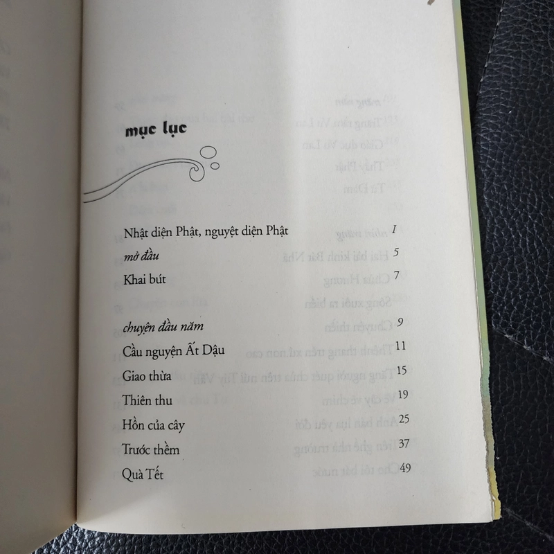 Thấy Phật | Cao Huy Thuần  493392