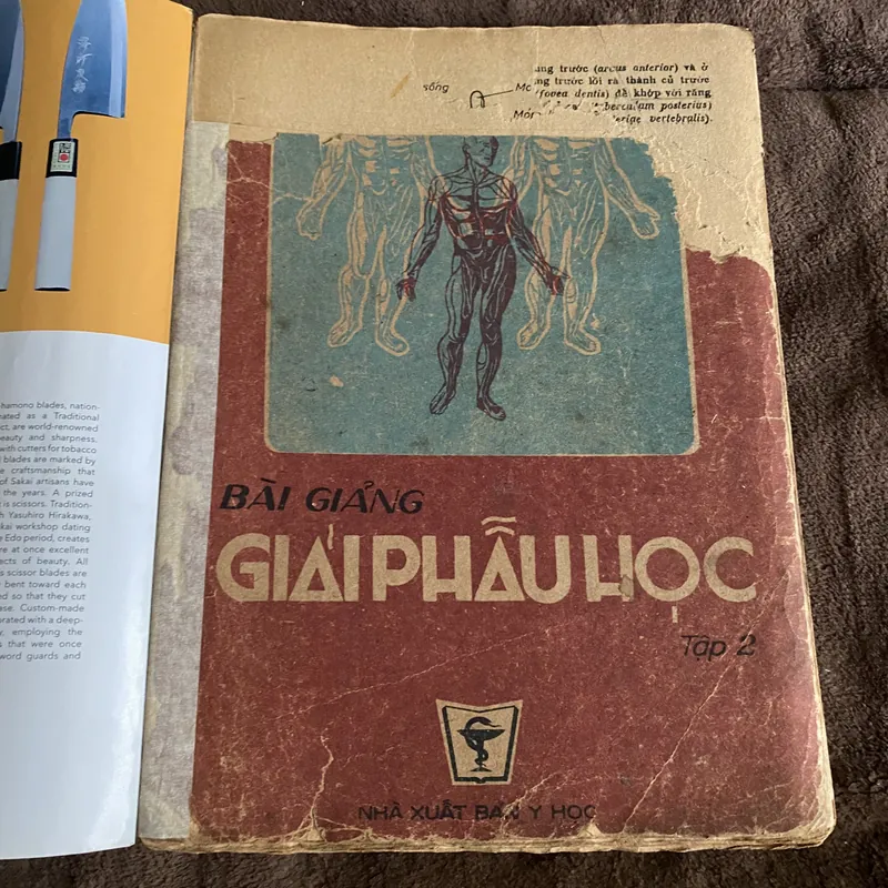 Bài giảng giải phẫu học trọn bộ 2 tập  674513