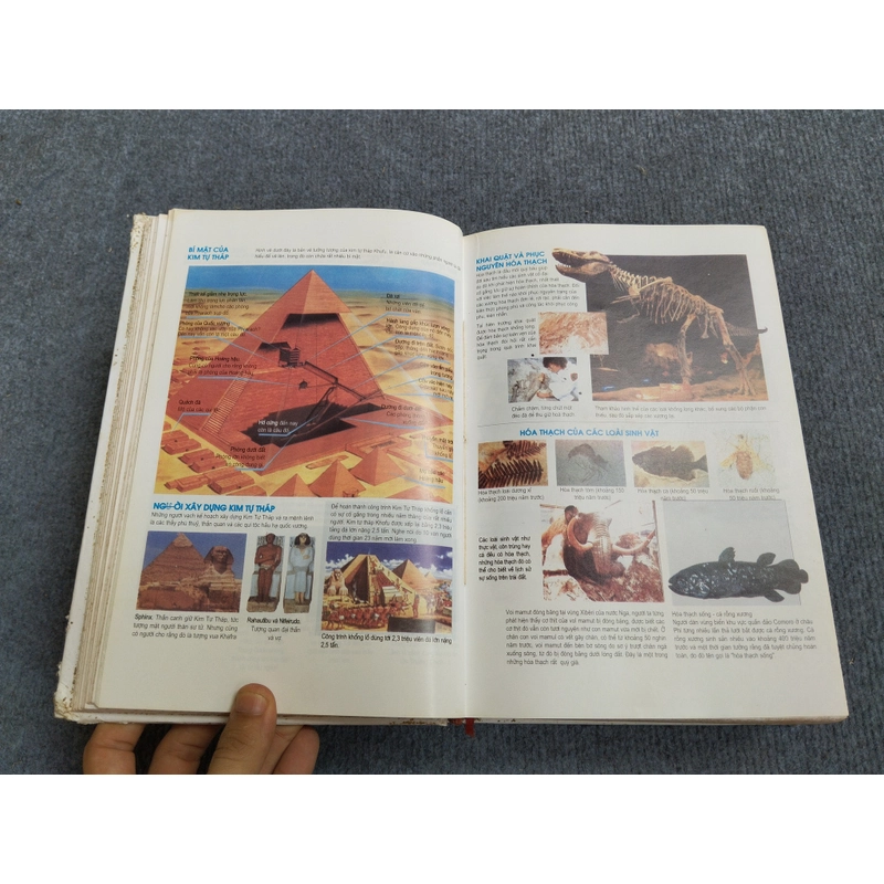 BÁCH KHOA TRI THỨC HỌC SINH 469855