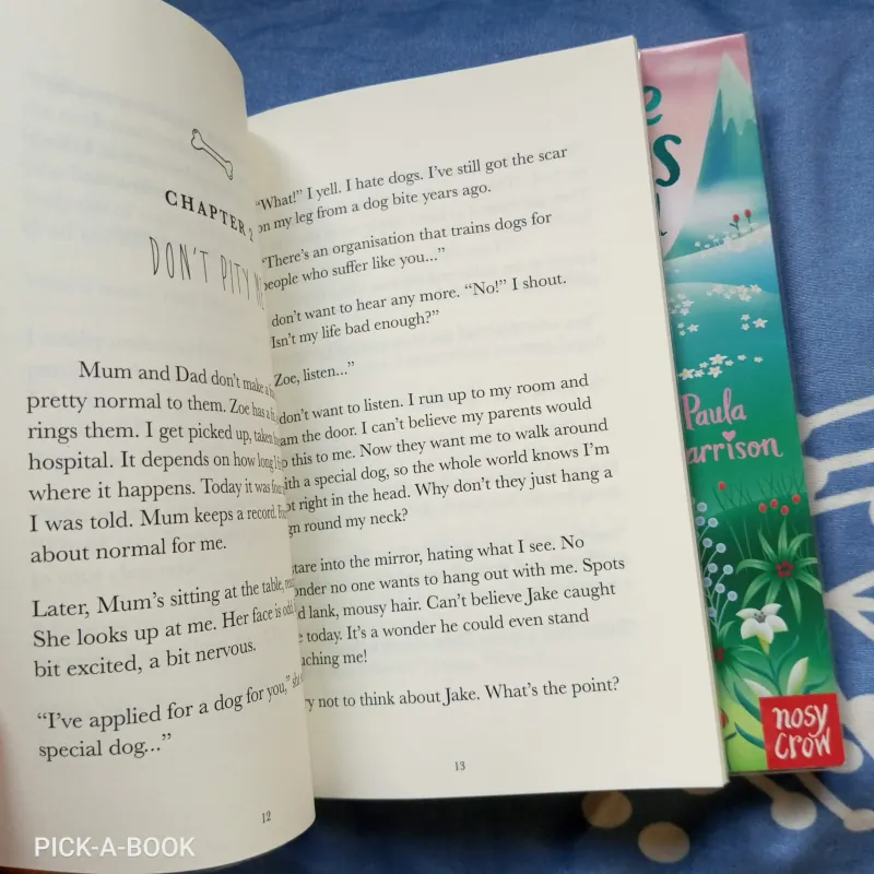 Combo 2 truyện luyện đọc Tiếng Anh về động vật (1) By My Side và The Rescue Princess 711889