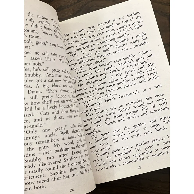 The Rilloby Fair Mystery 972085