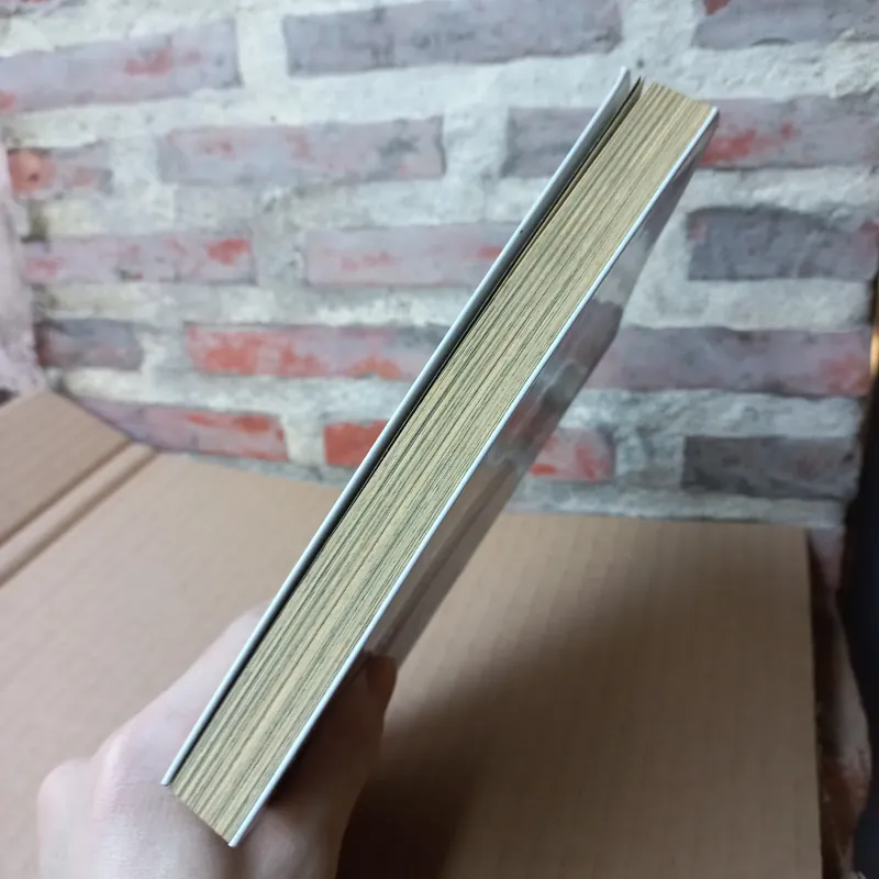 Truyện tranh Anh Em Phi Hành Gia tập 3 1017830